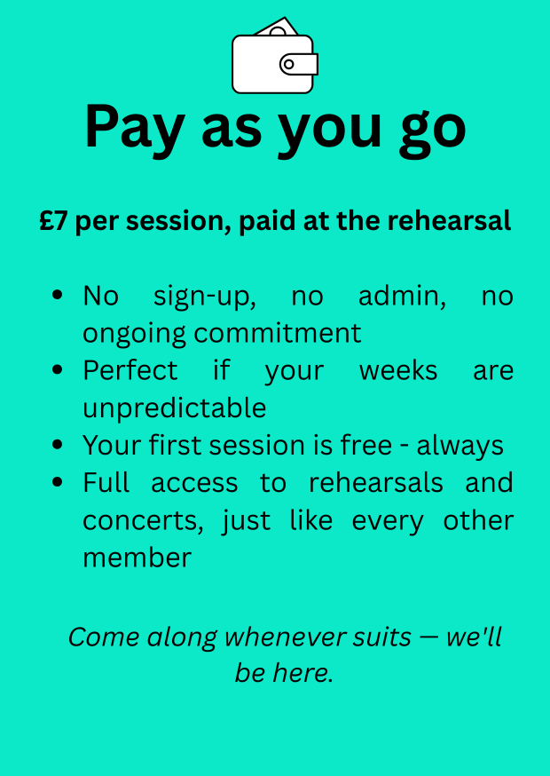 Laar Website Pricing cards (1)